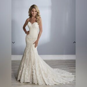NWT Size 18 Strapless Wedding Dress
